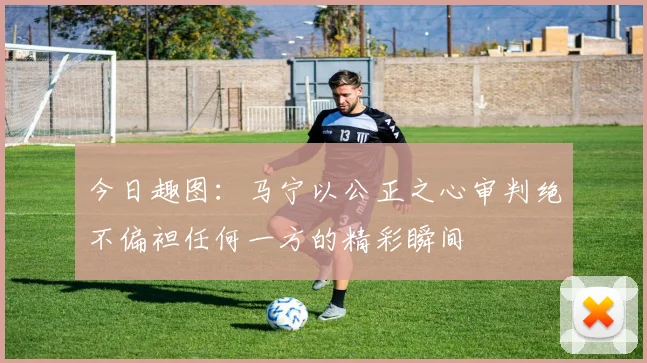 今日趣图：马宁以公正之心审判绝不偏袒任何一方的精彩瞬间